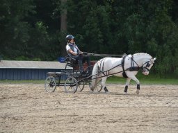 DSC_9175_web